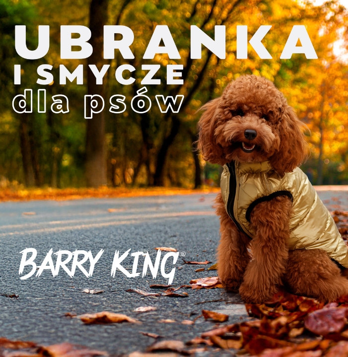 Jesień Barry