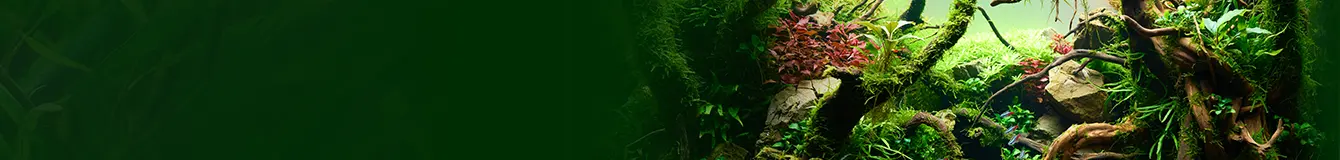 Akwaria i zestawy