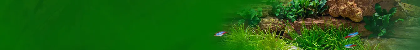 Dekoracje do akwarium