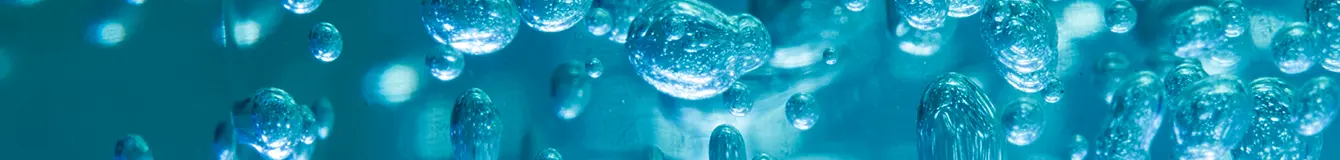 Deszczownice do akwarium