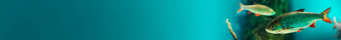 Filtry wewnętrzne do akwarium