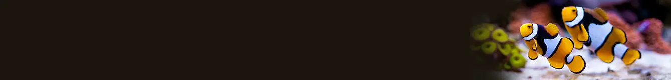 Zestawy mediów filtracyjnych