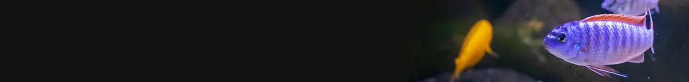 Wkłady do filtrów akwariowych