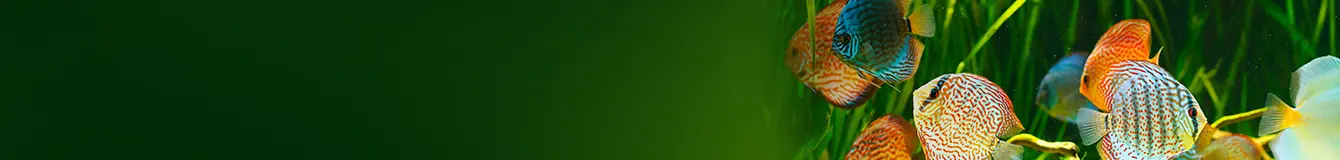 Grzałki do akwarium