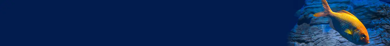 Świetlówki LED do akwarium