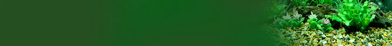 Bio media i grunty do roślin do akwarium