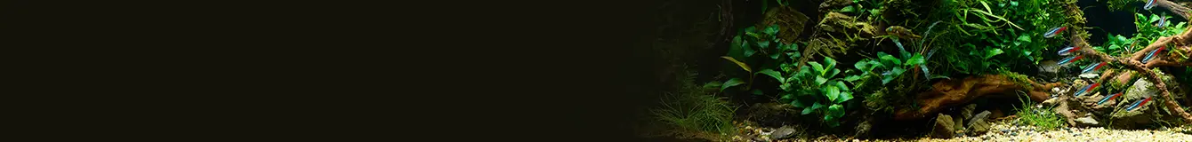 Substraty pod podłoża