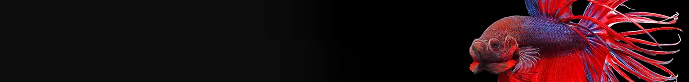 Pokarm mrożony dla rybek