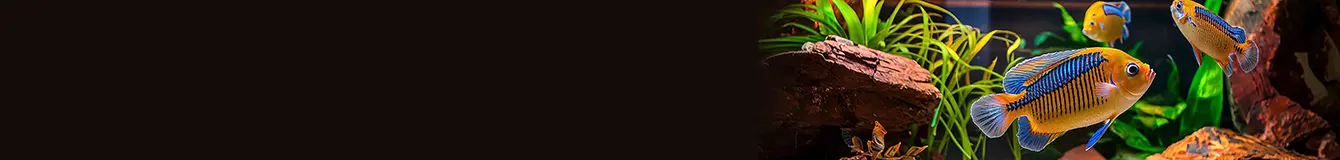 Testy kropelkowe do wody