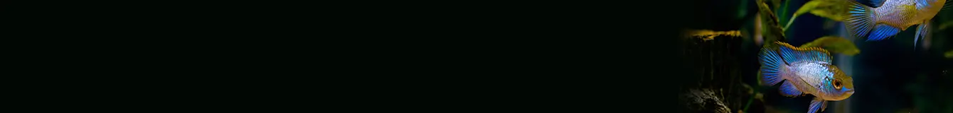 Zestawy testów do wody