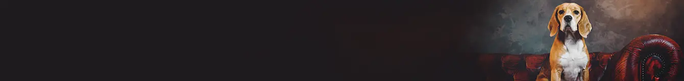 Butik - ekskluzywne akcesoria dla psów