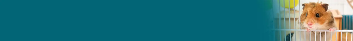 Akcesoria dla królików i gryzoni