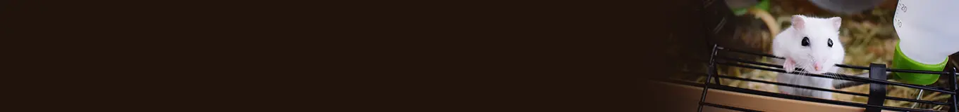 Klatki dla królików i gryzoni