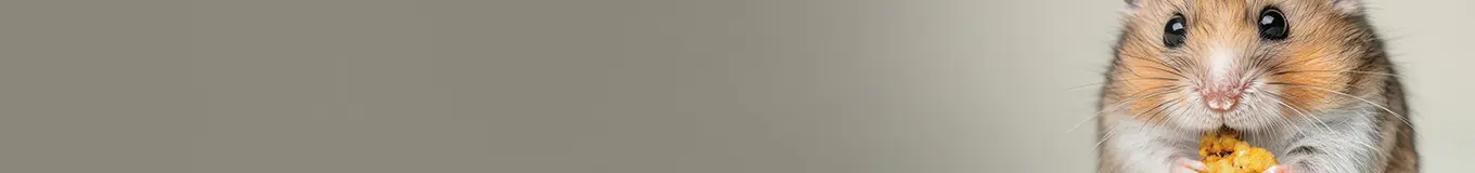 Przysmaki dla królików i gryzoni