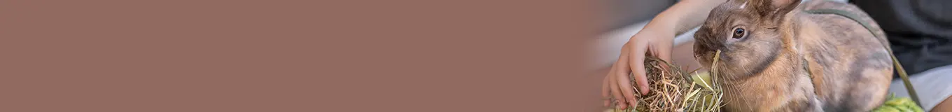 Siano dla królików i gryzoni