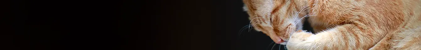 Ochrona przed pasożytami