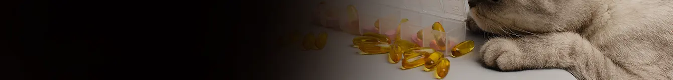 Witaminy i suplementy dla kota