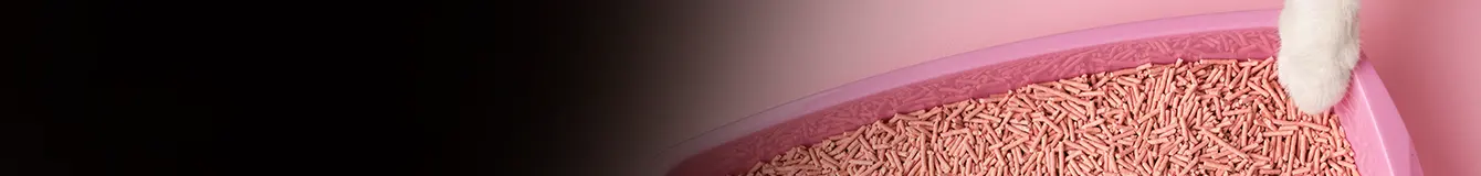 Żwirki i kuwety dla kotów