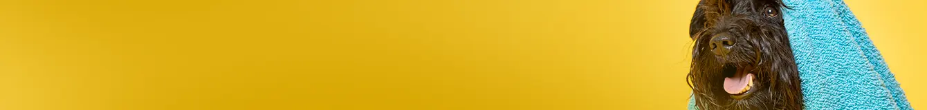 Higiena i pielęgnacja psa