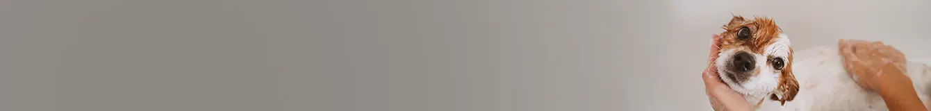 Szampony i odżywki dla psa