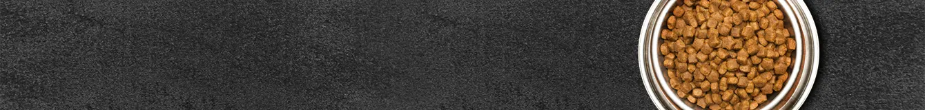 Karma Bezzbożowa dla psa