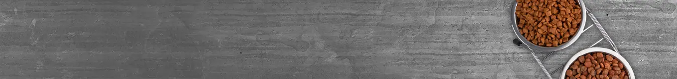 Karma Hipoalergiczna dla psa