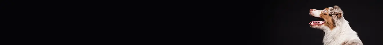 Karma mokra dla dużych ras