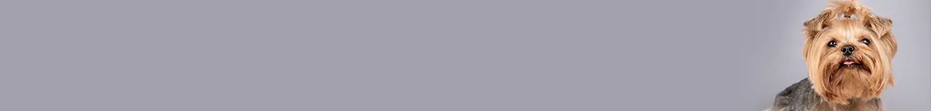 Karma mokra dla małych ras