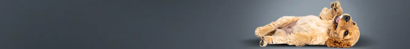 Karma mokra dla psa z podziałem na marki