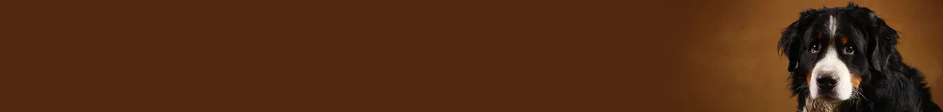 Karma mokra dla olbrzymich ras