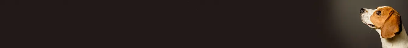 Karma mokra dla średnich ras