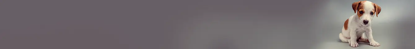 Karma mokra dla szczeniąt