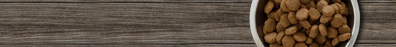 Karma Wegetariańska dla psa