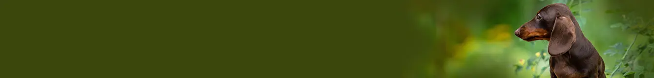 Karma weterynaryjna dietetyczna