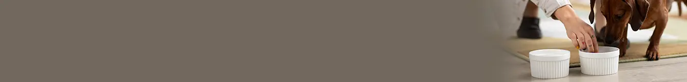 Miski ceramiczne dla psa