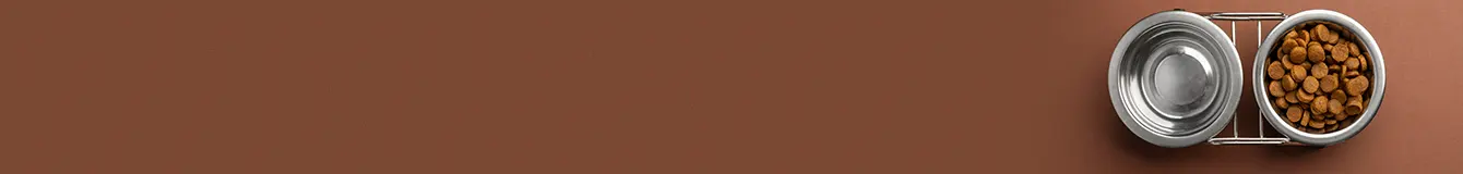 miski na stojaku dla psa