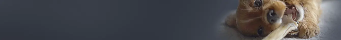 Przysmaki dla szczeniąt