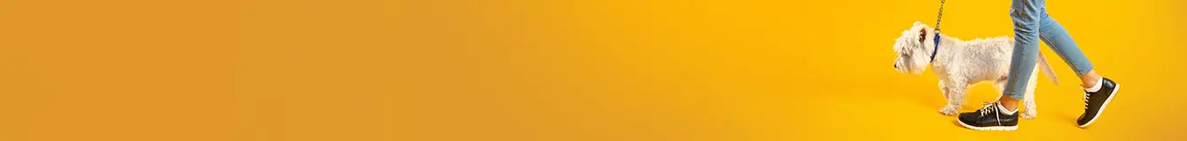 Akcesoria spacerowe dla psa