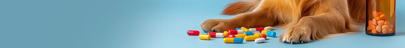 Witaminy i suplementy dla psów