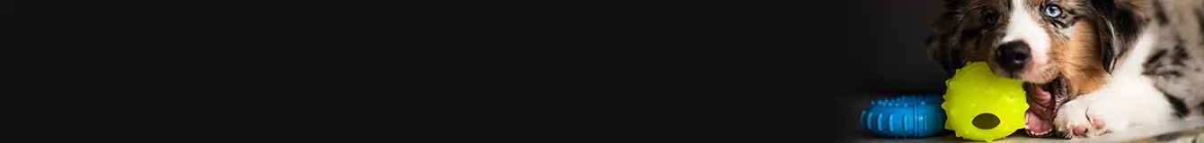 Zabawki na przysmaki dla psa