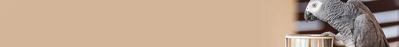 Karma dla ptaków egzotycznych