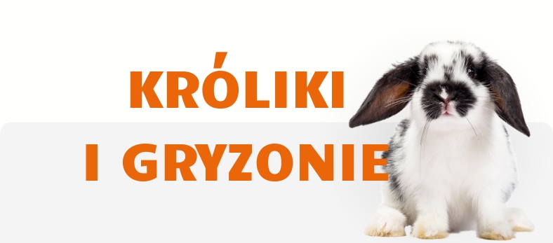 Majowe oferty specjalne dla gryzoni