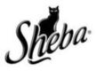 sheba