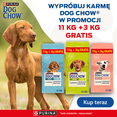 Dog Chow 11+3kg