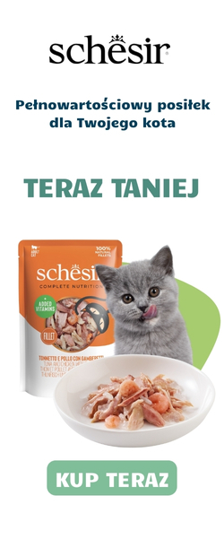 Wielosztuki prawa strona