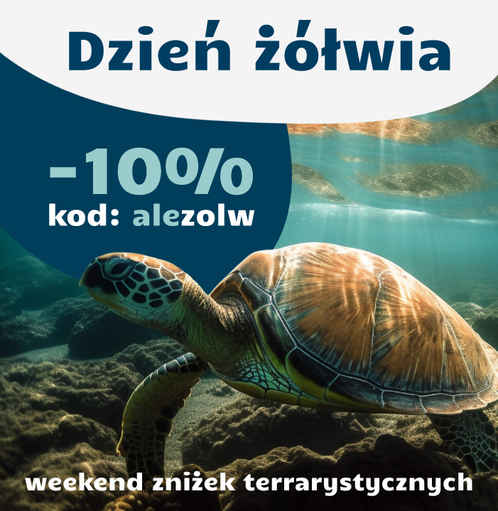 Dzień żółwia
