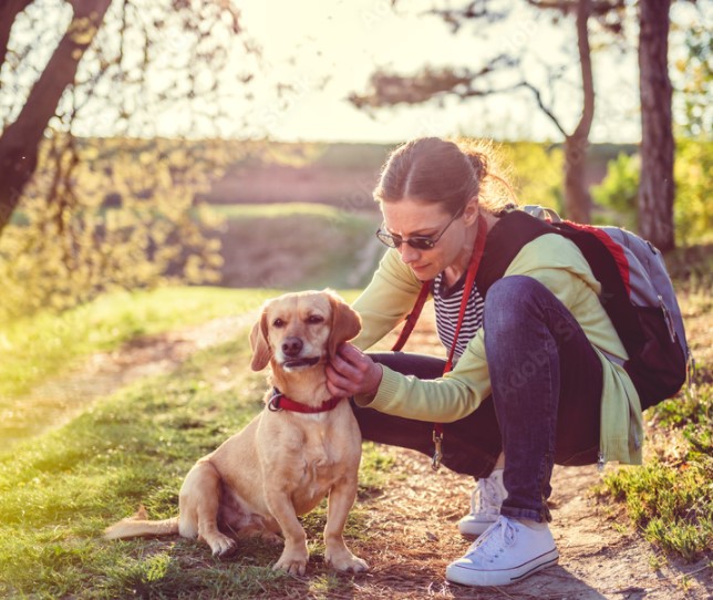 Kleszcz u psa – bezpieczne usuwanie i zapobieganie