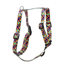 Barry King Szelki taśma dla psa Hawaje 25mm/60-100cm