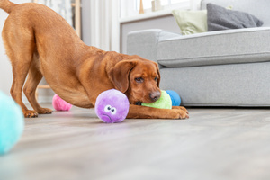 Trixie Piłeczki zabawka dla psa plusz 10cm z recyklingu 1 szt z dźwiękiem