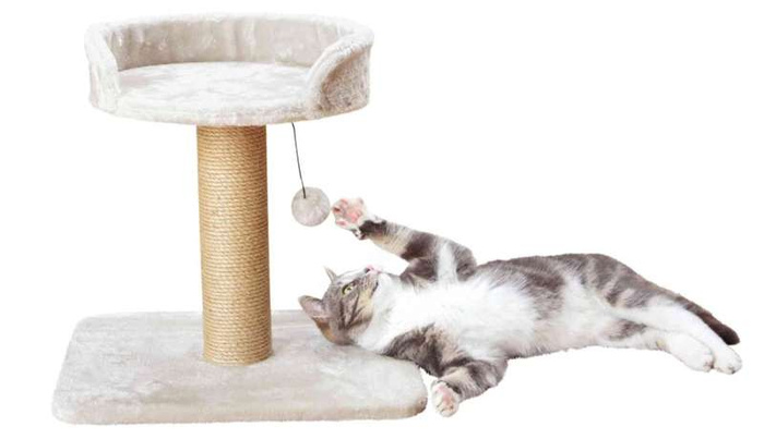 Trixie Mica niski drapak dla kota 46cm jasno-szary